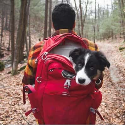 Confira fotos compartilhadas no Instagram do grupo (Reprodução)