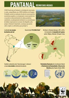 Foto: Divulgação/WWF