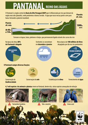 Foto: Divulgação/WWF