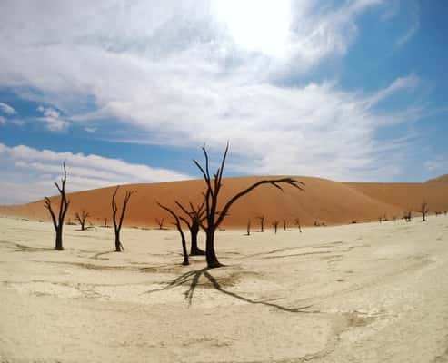 Dead Vlei, no deserto Namibiano: moeda desvalorizada, como a nossa e custo de vida baixo.(Crédito da foto: http://www.viageria.com )