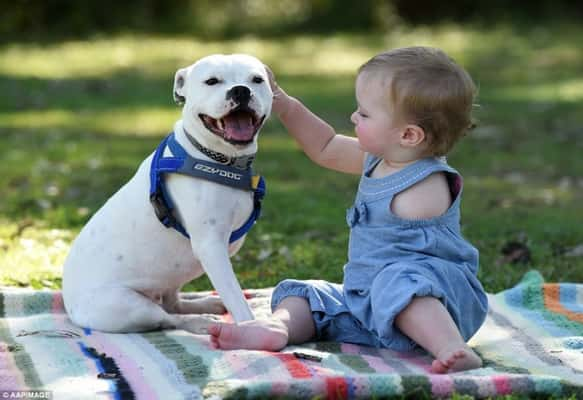 A mãe contou contou  que levou um tempo para a pequena Ella se acostumar com o cachorrinho