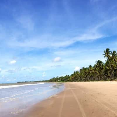 São Miguel dos Milagres, Alagoas: pousadas para todos os gostos e bolsos, peixe fresco na vila de pescadores. 
(Crédito da foto: http://www.viageria.com)