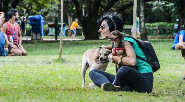 Parque Ibirapuera: para pets que gostam de ficar livres, leves e soltos  - Foto: Cris Berger