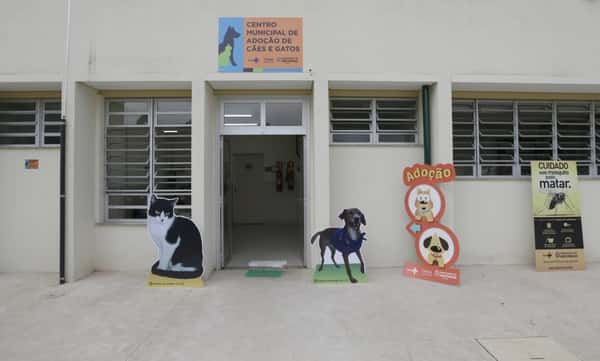 Centro Municipal de Adoção de Cães e Gatos - Foto: Cesar Ogata/Secom/Divulgação