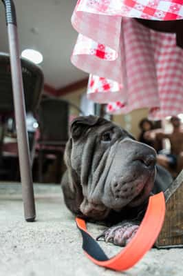 Amor em Pedaços. Foto: Cris Berger