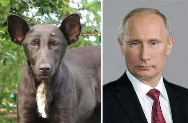 Putin