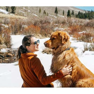 Cachorro acompanha seu dono em viagens para locais paradisíacos 