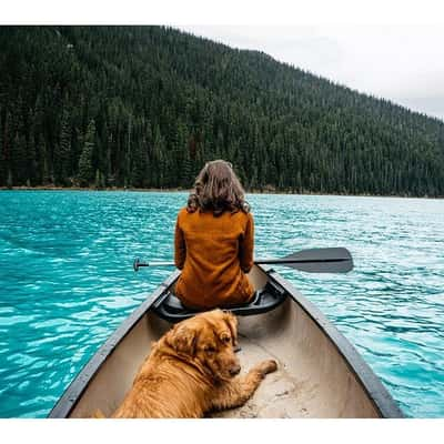 Cachorro acompanha seu dono em viagens para locais paradisíacos 