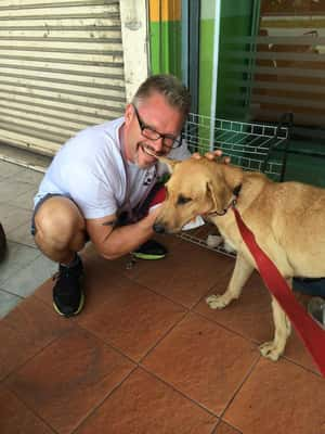 Chef alimenta diariamente 80 cães que estão na rua com sobras de seu restaurante