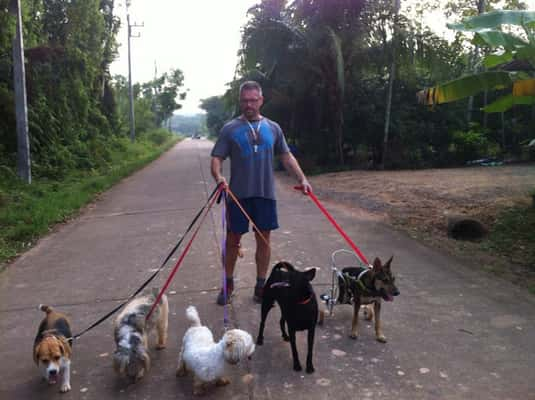 Chef alimenta diariamente 80 cães que estão na rua com sobras de seu restaurante