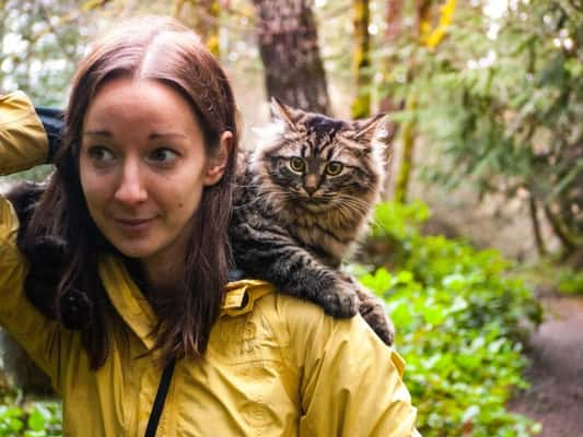 Mulher resgata gatinhos da rua e os leva para suas aventuras na natureza