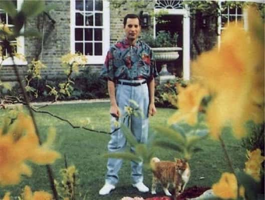  Esta é a última foto tirada de Freddy Mercury, em 1991 