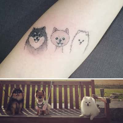 Tattoo de cachorro