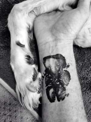 Tattoo de cachorro