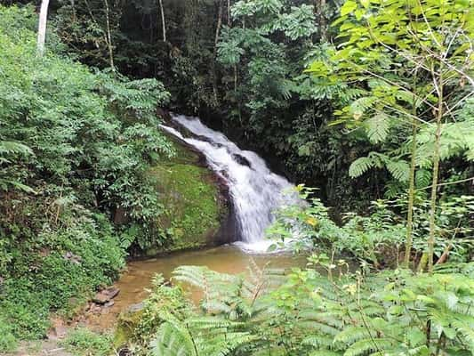 Cachoeira do Alecrim