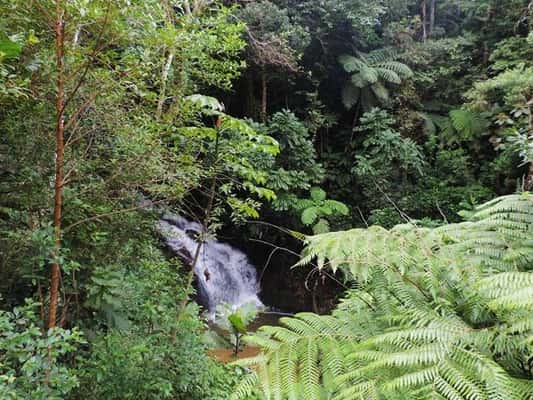 Cachoeira do Alecrim