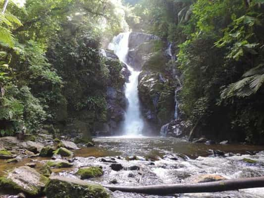 Cachoeira do Chá