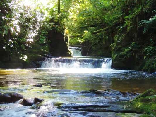 Cachoeira do Chá