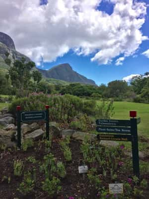 Jardim Botânico Nacional Kirstenbosch