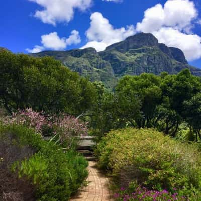 Jardim Botânico Nacional Kirstenbosch