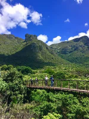 Jardim Botânico Nacional Kirstenbosch