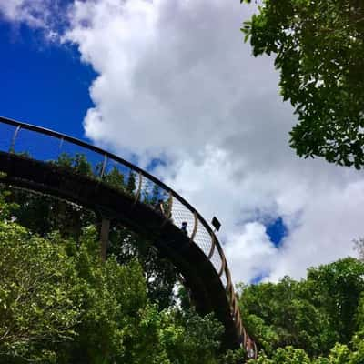 Jardim Botânico Nacional Kirstenbosch