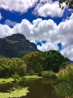 Jardim Botânico Nacional Kirstenbosch