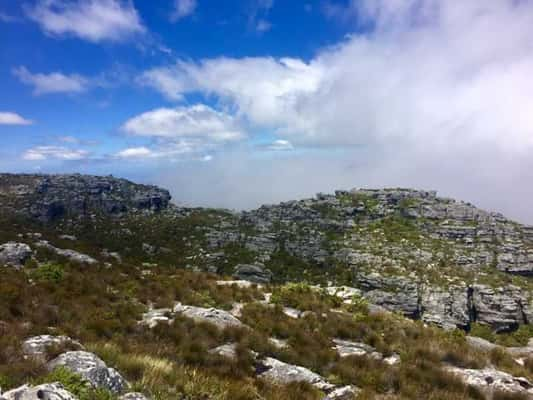 Table Mountain - Cape Town