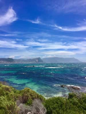 Boulders Beach - Cape Town