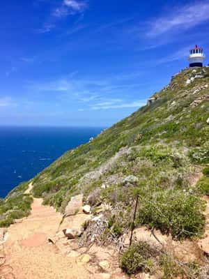 Cape Point - Cape Town