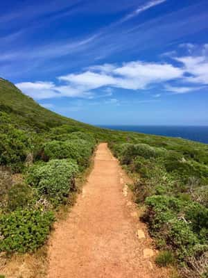 Cape Point - Cape Town