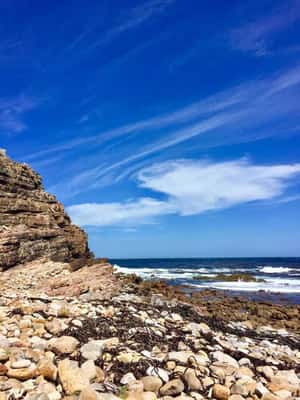 Cape Point - Cape Town