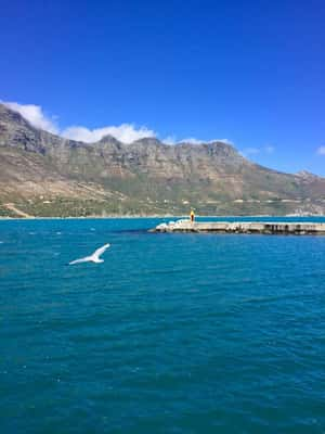 Hout Bay