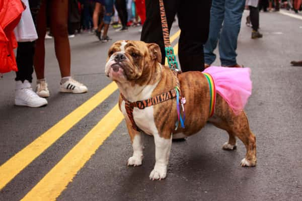 Parada LGBT na avenida Paulista 