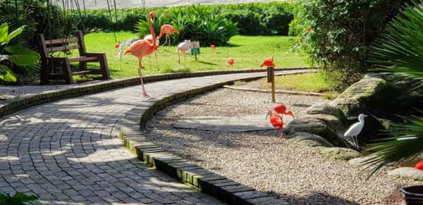 O Birds of Eden é lar de mais de 3.500 aves de 220 espécies