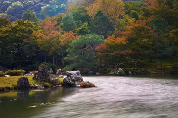 Primeiro filme do diretor japonês Akira Kurosawa, ‘A Saga do Judô’ tem a cidade de Kyoto como um dos cenários dessa obra de 1943. Com roteiro do próprio Kurosawa, baseado no romance homônimo de Tsuneo Tomita, o enredo conta a história do jovem Sugata, quem luta para aprender judô e, ao fazê-lo, aprende sobre o próprio significado da vida, no melhor estilo Akira Kurosawa de fazer cinema