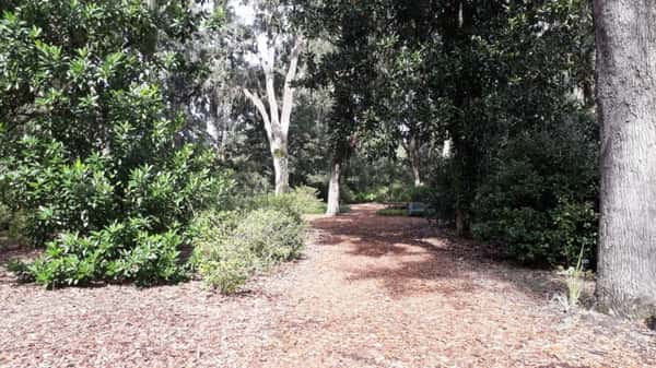 Bok Tower Gardens