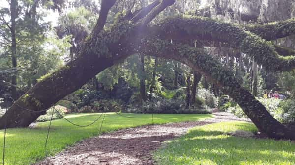 Bok Tower Gardens