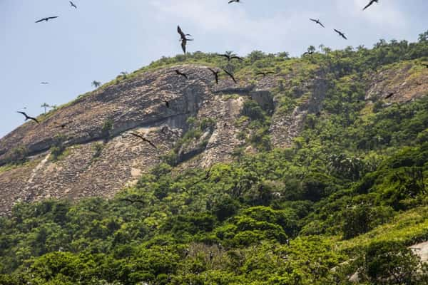 Arquipélago de Alcatrazes