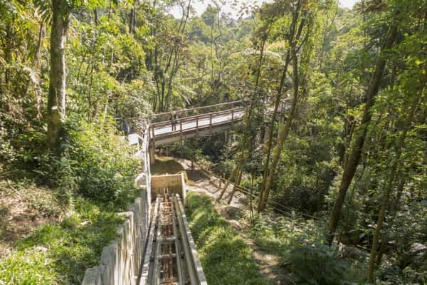 Parque Ecológico Imigrantes