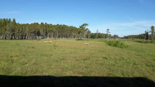 Safari Wilderness Ranch