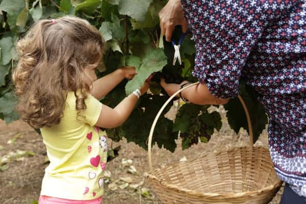 Quinta do Olivardo