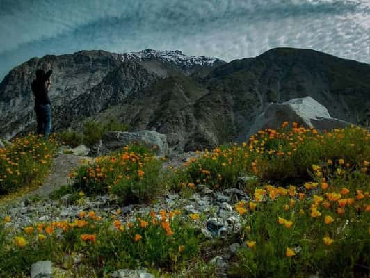 Cajón Del Maipo