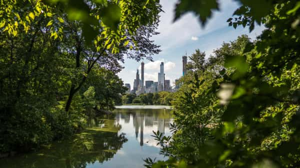 Central Park, Nova York (Estados Unidos)