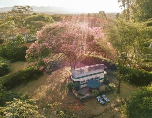 Esse ônibus foi totalmente transformado em uma casa de dois andares super espaçosa e confortável. O melhor é que ele nunca estará lotado e você só ficará de pé se quiser! 