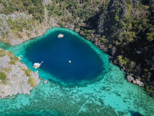 Unicórnios não só existem, como nadam! Pelo menos é o que dizem aqueles que passaram uma noite nessa casa flutuante cercada de belezas naturais