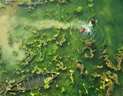 Foto tirada durante o inverno de 2015 em um rio na região de Bengala, no leste da Índia