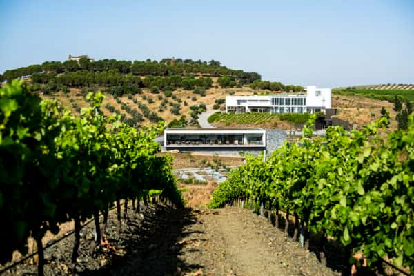 Vista da Quinta do Quetzal