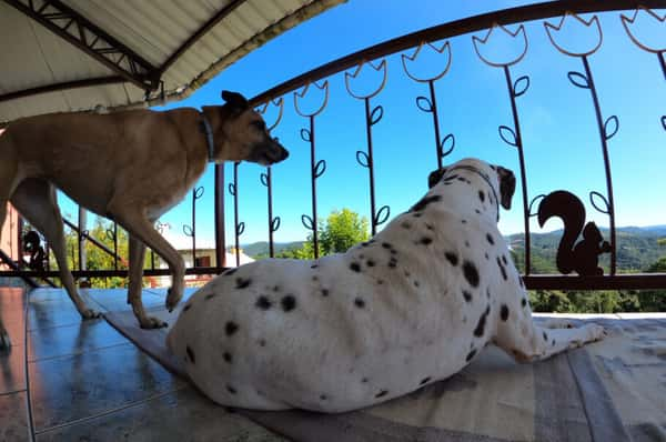 Maga e Juju curtem a vista das montanhas na sacada do nosso quarto