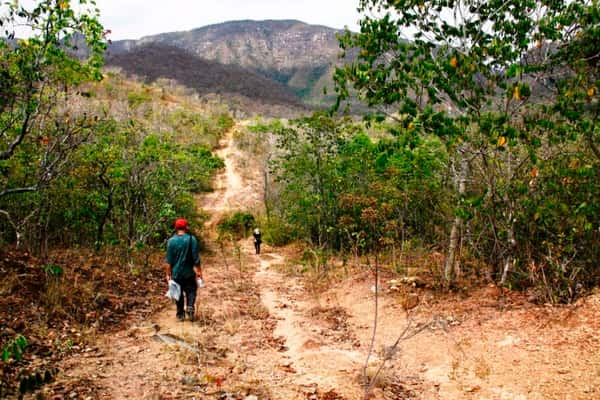 Trilha para Cachoeiras da Água Fria